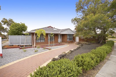 Easy Family Living Picture