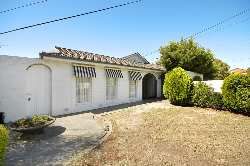 Behind the White Fence Picture 2