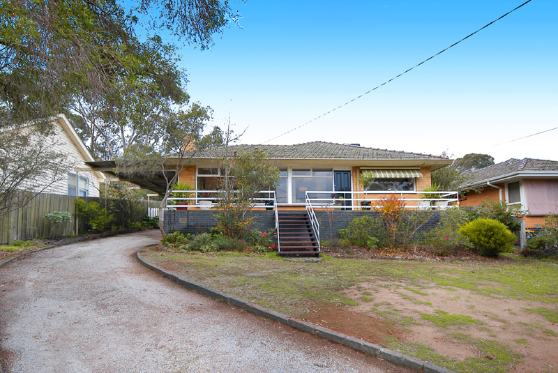 A Surprise Package Picture 1