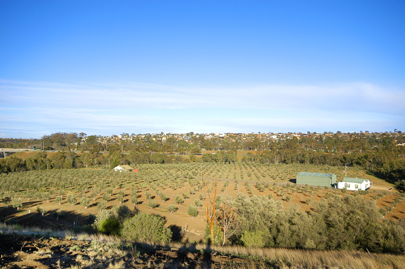 2.534 ha close to Keilor Village with River Frontage Picture 1