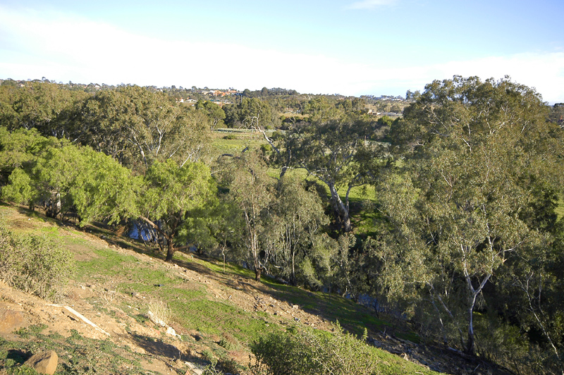 2.534 ha close to Keilor Village with River Frontage Picture 3