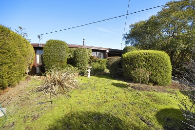 One not to be Missed! Picture One not to be Missed! Picture