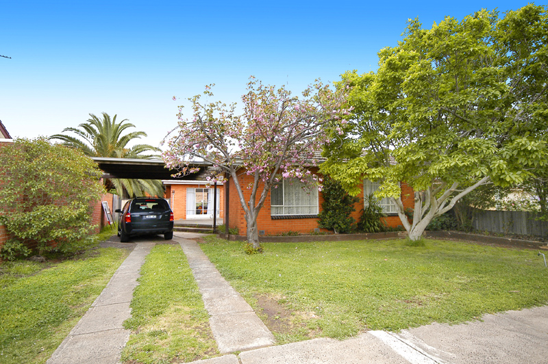 Village Lifestyle Picture 1