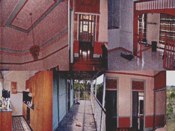 HIGHSET & HANDSOME QUEENSLANDER Picture HIGHSET & HANDSOME QUEENSLANDER Picture