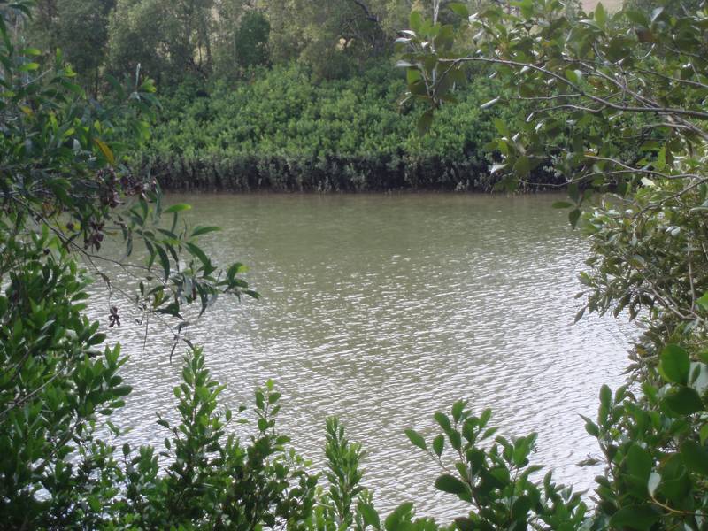 3.3 ACRE BURRUM RIVERFRONT Picture 2