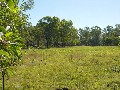 FIVE ACRE BLOCK SO CLOSE TO TOWN AND THE BURRUM RIVER. REDUCED FOR QUICK SALE Picture