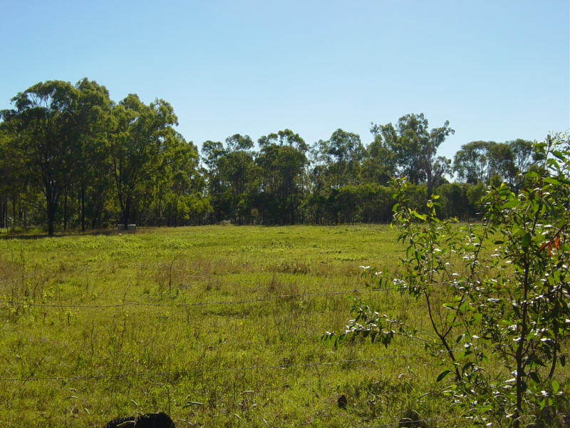 FIVE ACRE BLOCK SO CLOSE TO TOWN AND THE BURRUM RIVER. REDUCED FOR QUICK SALE Picture 1