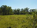 FIVE ACRE BLOCK SO CLOSE TO TOWN AND THE BURRUM RIVER. REDUCED FOR QUICK SALE Picture