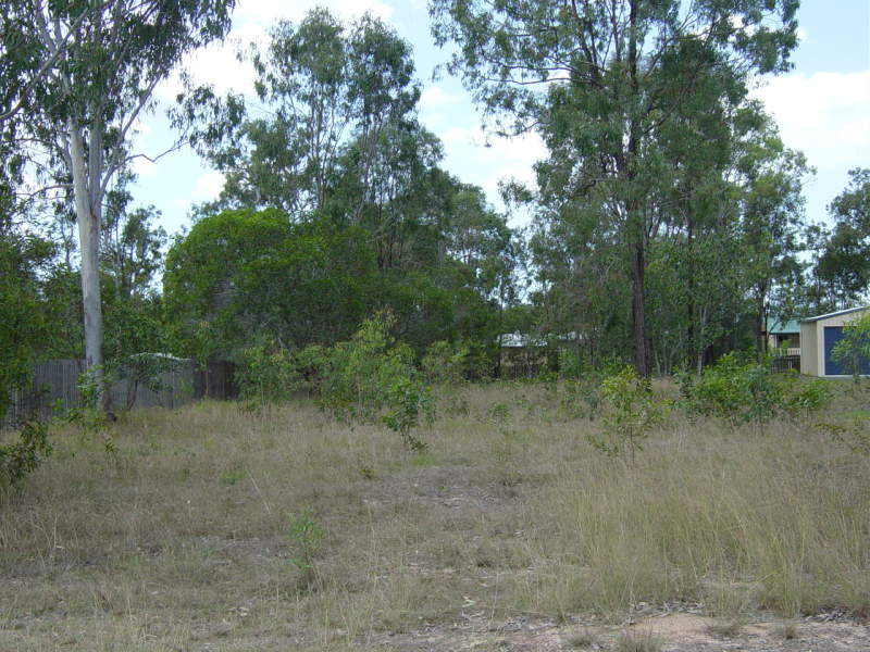 LARGE 1275M2 LEVEL MOSTLY CLEARED
BLOCK WALK TO EVERYTHING. Picture 3