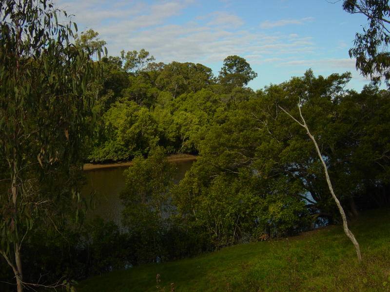 NEARLY 11 ACRE WELL GRASSED BURRUM
RIVERFRONT BLOCK Picture 3