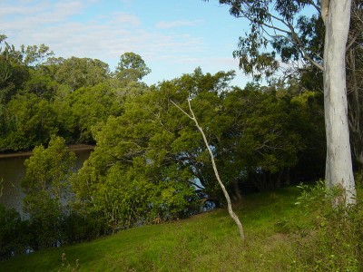 NEARLY 11 ACRE WELL GRASSED BURRUM
RIVERFRONT BLOCK Picture