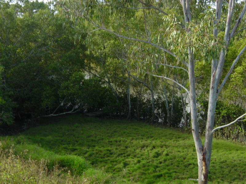 NEARLY 11 ACRE WELL GRASSED BURRUM
RIVERFRONT BLOCK Picture 2