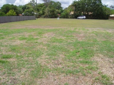 Perfect Building Block, Close to Town Picture Perfect Building Block, Close to Town Picture