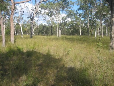 Great Location & Priced to Sell Picture