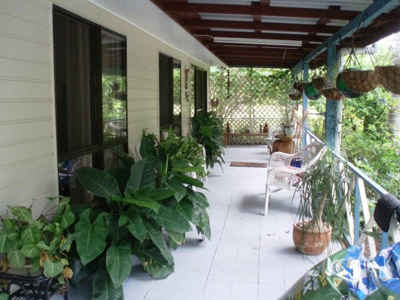 No Neighbours Picture 2