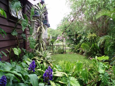 Raw Country Charm Picture