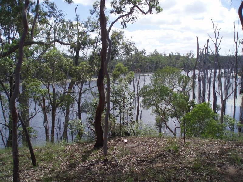 Prime Riverfront Land Picture 1