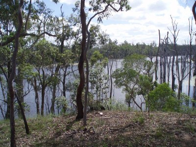 Prime Riverfront Land Picture