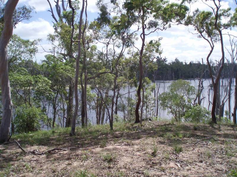 Prime Riverfront Land Picture 3