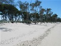 On the Beach at Burrum Heads { The Affordable Sea Change } Picture