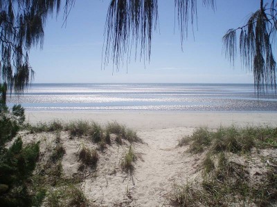 Grab a Bargain - Direct Beach Access! Picture