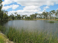 Location is Lifestyle Perfect Picture 2