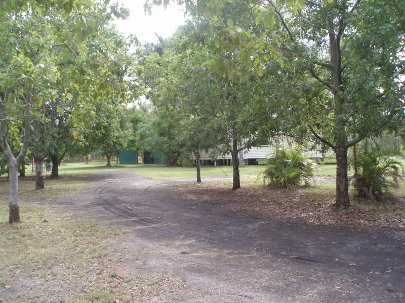 Tradesman's Paradise - 10 Acres with the House Thrown In! Picture 2