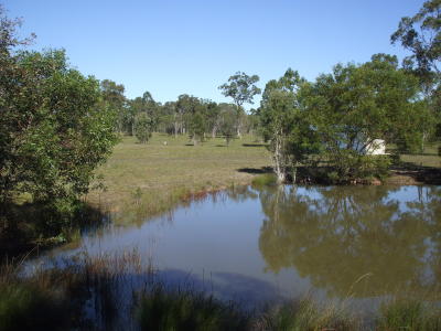 6 Beautiful Acres Picture 3