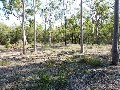 5 ACRES IN TORBANLEA
! Urgent Sale Required
! Picture 5 ACRES IN TORBANLEA
! Urgent Sale Required
! Picture