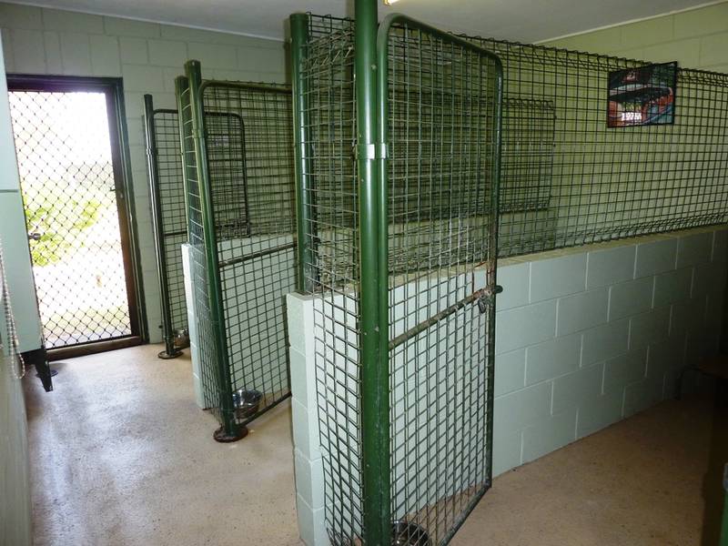 Boarding Kennels on 5 acres ( Pets Paradise ) Picture 3