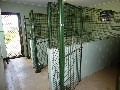 Boarding Kennels on 5 acres ( Pets Paradise ) Picture Boarding Kennels on 5 acres ( Pets Paradise ) Picture