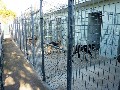 Boarding Kennels on 5 acres ( Pets Paradise ) Picture Boarding Kennels on 5 acres ( Pets Paradise ) Picture
