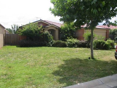 Four Bedrooms & Study Picture Four Bedrooms & Study Picture