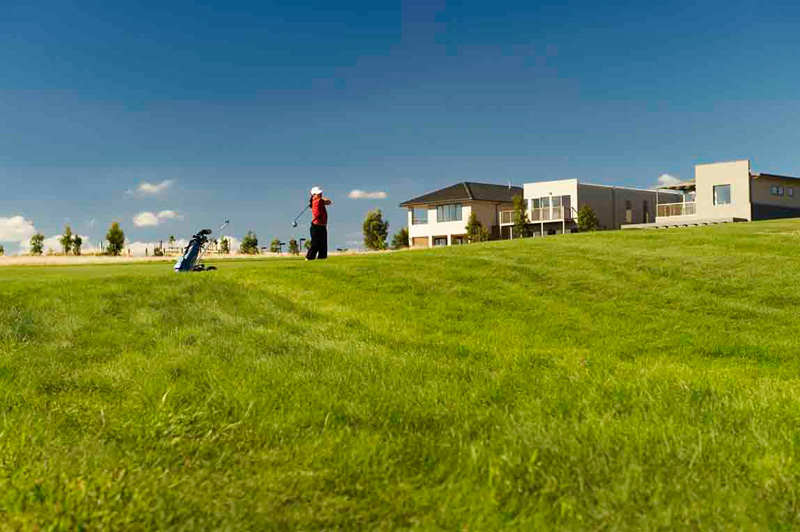 1/4 Acre in The Settlers Run Estate Picture 2