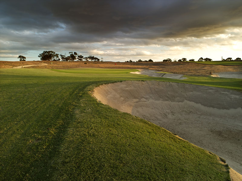 1/4 Acre in The Settlers Run Estate Picture 3