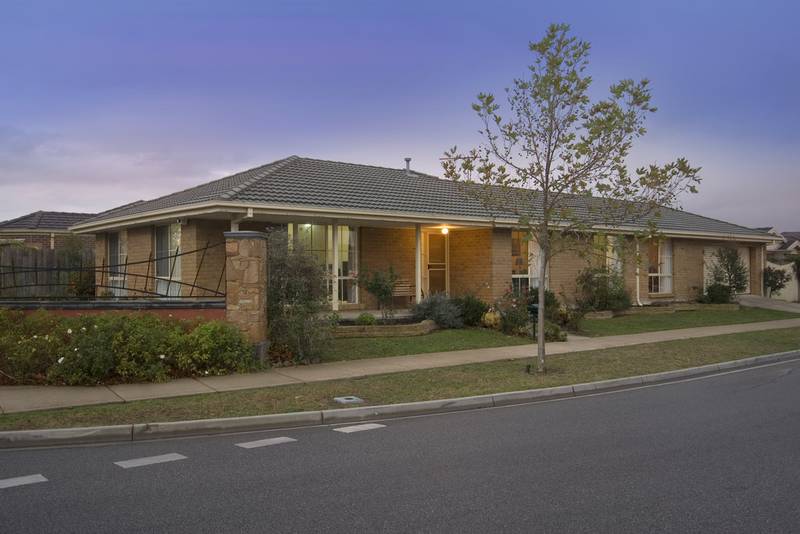 What a Perfect Start Picture 1