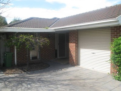 Hands Up for Timbarra Picture