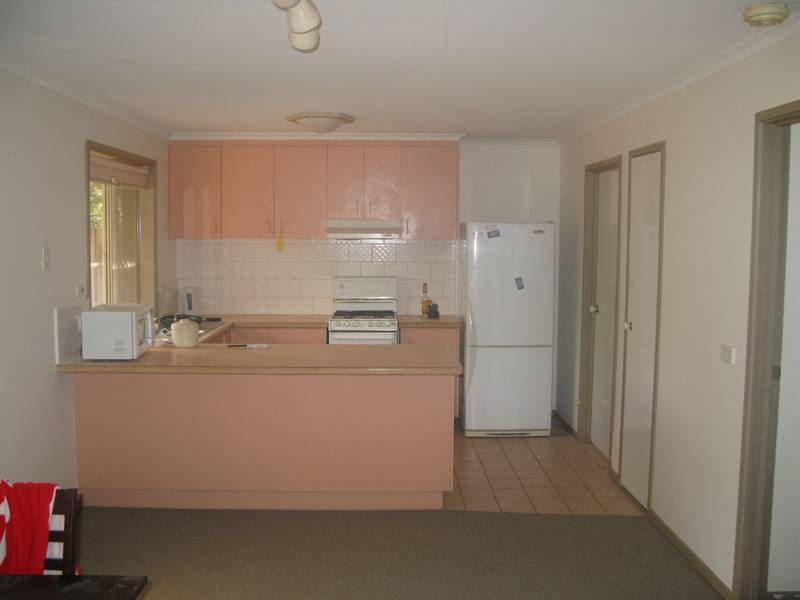 Hands Up for Timbarra Picture 3