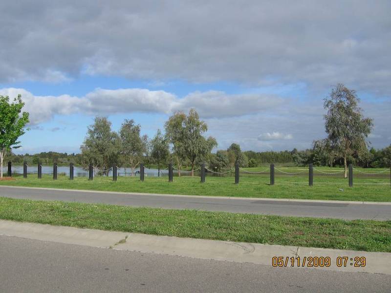 LET YOUR IMAGINATION RUN WILD Picture 1