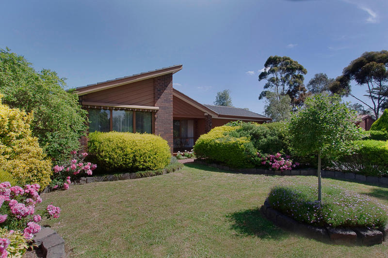 STYLE! CLASS!
COME AND GET ME! Picture 1