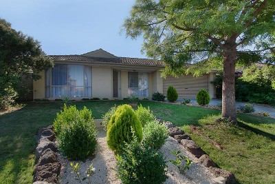 BETTER THAN NEW Picture