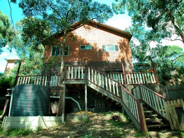 Bushland Setting Picture