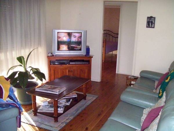 Wow take a look at this! Picture