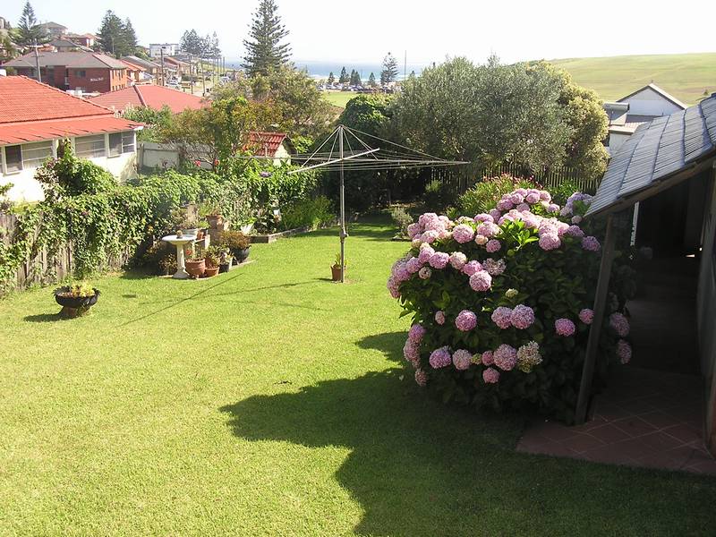 The Beach Is Within Reach! Picture 3