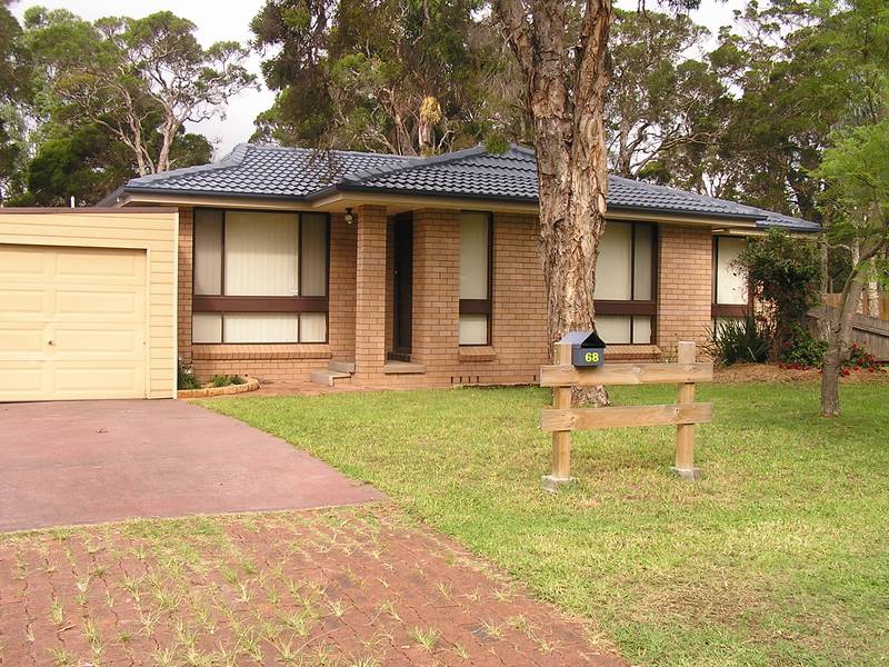 Lovely Leafy Outlook Picture 1