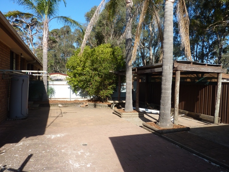 Hidden Treasure Picture 3