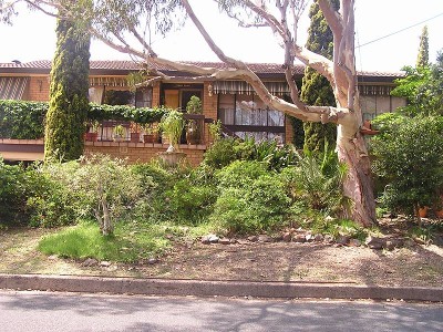 Character & Potential Picture