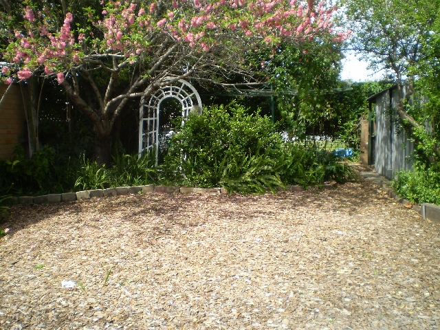 NEAT & SWEET Picture 3