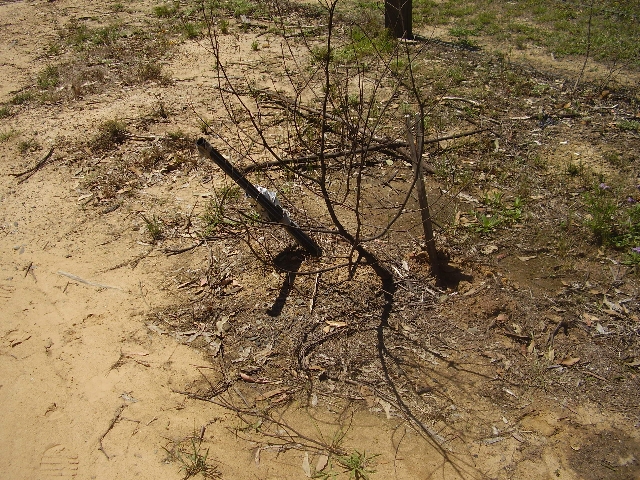 WATAGAN RISE ESTATE Picture 2