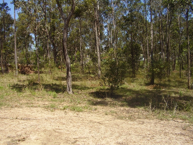 WATAGAN RISE ESTATE Picture 1